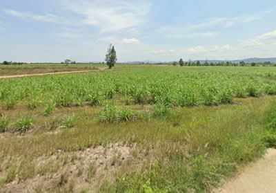 ขาย - ที่ดินชะอำ เพชรบุรี, เพชรบุรี