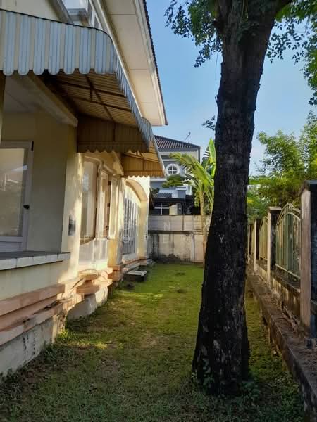 Laddarom Pinklao-Kanchanapisek, Nonthaburi, Kanchanaphisek Road, Bang Muang, Bang Yai, Nonthaburi, 3 Bedrooms, 250 sqm, Single Detached House For Sale, by Connex Property, 500225437 - DDproperty.com