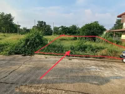 ขาย - ที่ดินชะอำ เพชรบุรี, เพชรบุรี