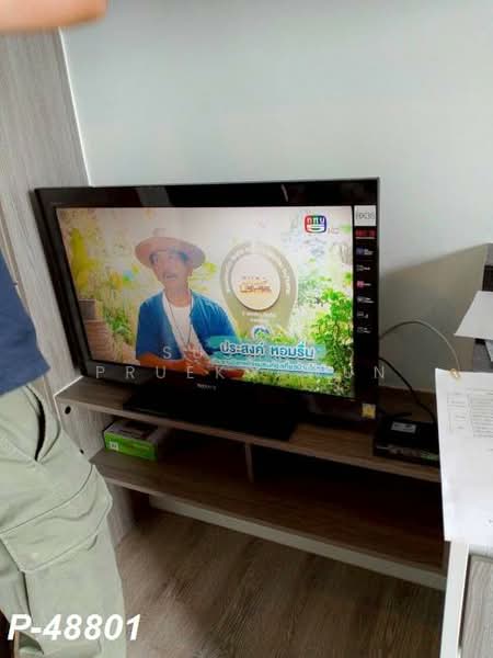 Kensington Sukhumvit-Theparak, Samut Prakan, Thepharak Road, Thepharak, Muang Samut Prakarn, Samut Prakan, 1 Bedroom, 21 sqm, Condo For Rent, by Susira Prueksawun, 500225493 - DDproperty.com