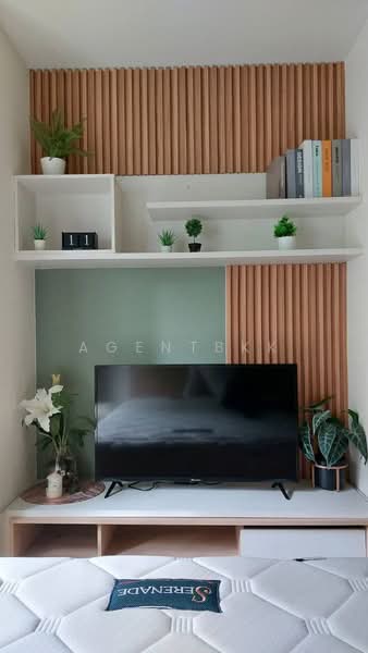 My Condo Sukhumvit 81, Bangkok, Soi Sukhumvit 81 Sukhumvit Road, Bang Chak, Phra Khanong, Bangkok, 1 Bedroom, 35 sqm, Condo For Rent, by Agentbkk, 500225517 - DDproperty.com