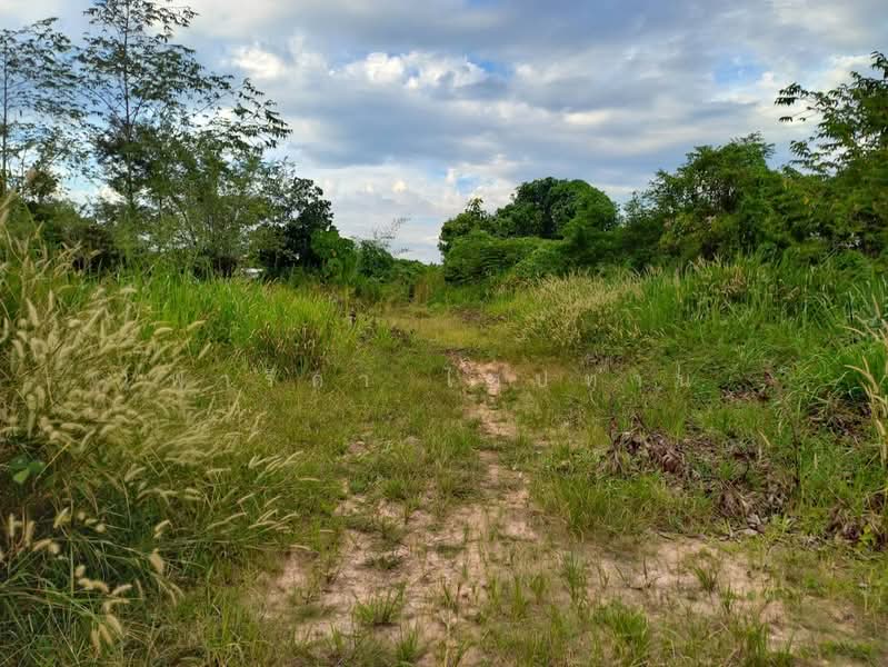 Land for sale in Rayong city, corner plot, 498.4 sq.wa., near Suan Son Beach., Rayong, ถนนวโนภาส, Klaeng, Muang Rayong, Rayong, , 1,992 sqm, Land For Sale, by Fareeda Thaipatan, 500225671 - DDproperty.com