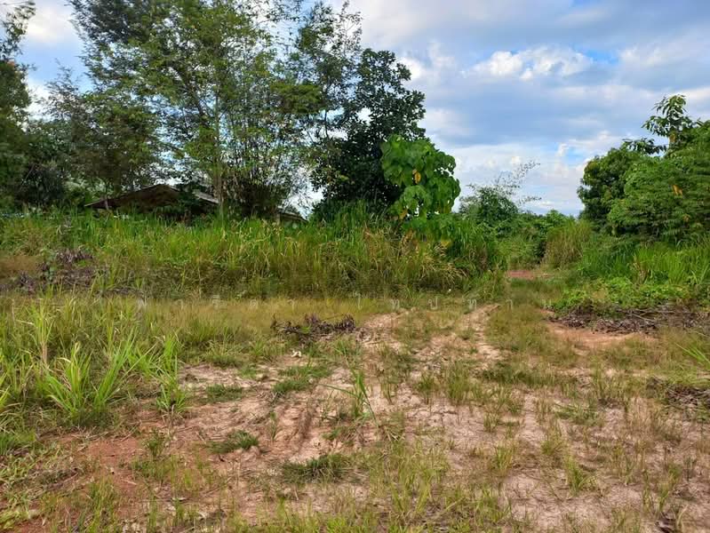 Land for sale in Rayong city, corner plot, 498.4 sq.wa., near Suan Son Beach., Rayong, ถนนวโนภาส, Klaeng, Muang Rayong, Rayong, , 1,992 sqm, Land For Sale, by Fareeda Thaipatan, 500225671 - DDproperty.com