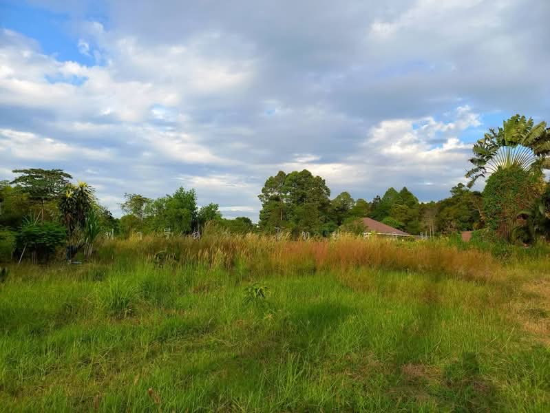 Land for sale in Rayong city, corner plot, 498.4 sq.wa., near Suan Son Beach., Rayong, ถนนวโนภาส, Klaeng, Muang Rayong, Rayong, , 1,992 sqm, Land For Sale, by Fareeda Thaipatan, 500225671 - DDproperty.com