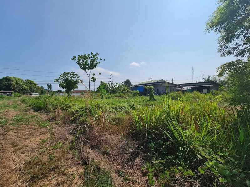 Land for sale in Rayong city, corner plot, 498.4 sq.wa., near Suan Son Beach, Rayong, ถนนวโนภาส, Klaeng, Muang Rayong, Rayong, , 1,992 sqm, Land For Sale, by Fareeda Thaipatan, 500225671 - DDproperty.com