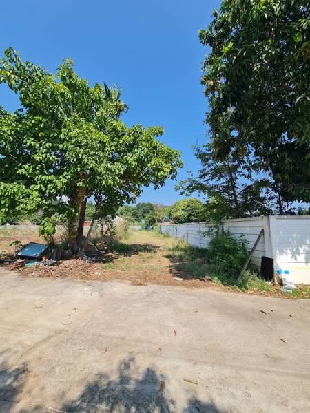 Land for sale in Rayong city, corner plot, 498.4 sq.wa., near Suan Son Beach, Rayong, ถนนวโนภาส, Klaeng, Muang Rayong, Rayong, , 1,992 sqm, Land For Sale, by Fareeda Thaipatan, 500225671 - DDproperty.com
