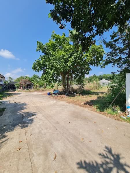 ขายที่ดินระยอง อำเภอเมือง แปลงมุม เนื้อที่ 498.4 ตร.ว. ใกล้หาดสวนสน, ระยอง, ถนนวโนภาส, แกลง, เมืองระยอง, ระยอง, 1,992 ตร.ม., ที่ดิน ขาย, โดย ฟารีดา ไทปทาน, 500225671 - DDproperty.com