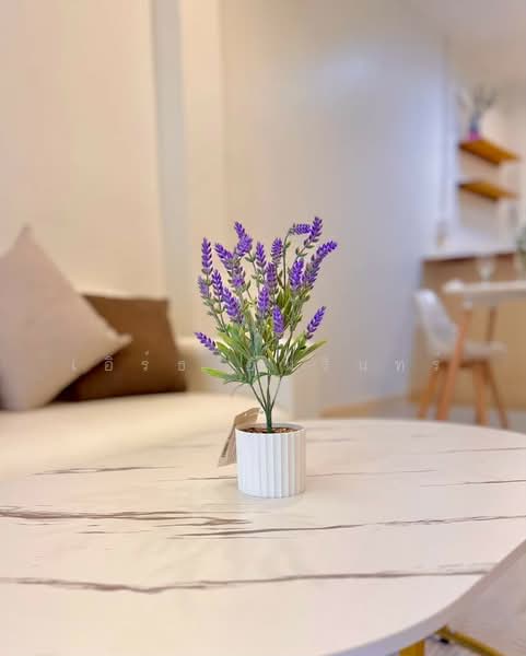 For Sale - บ้านร่มเย็น, Rayong