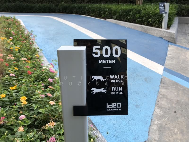 ให้เช่า - IDEO Sukhumvit 93 : ไอดีโอ สุขุมวิท 93, กรุงเทพ