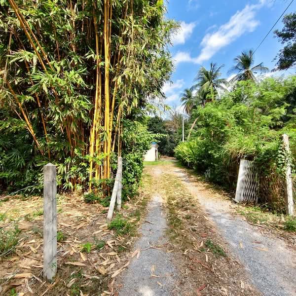 For Sale - ใกล้สนามกอล์ฟฟินิกซ์ - ห้วยใหญ่ ตำบลห้วยใหญ่ อำเภอบางละมุง จังหวัดชลบุรี, Chon Buri (Pattaya)