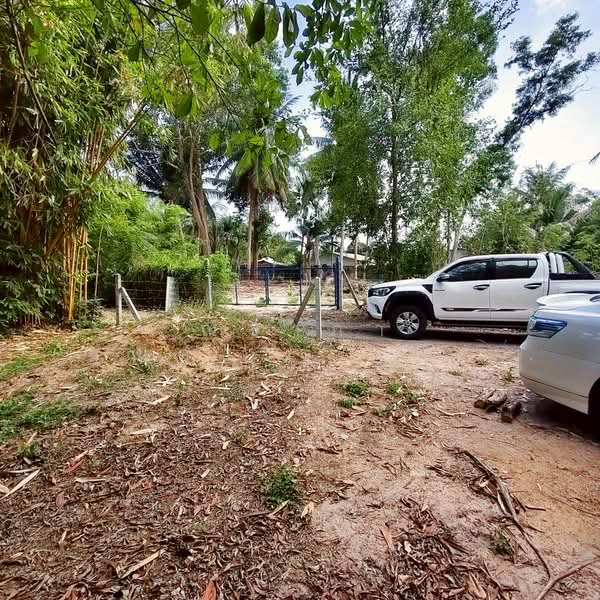 For Sale - ใกล้สนามกอล์ฟฟินิกซ์ - ห้วยใหญ่ ตำบลห้วยใหญ่ อำเภอบางละมุง จังหวัดชลบุรี, Chon Buri (Pattaya)