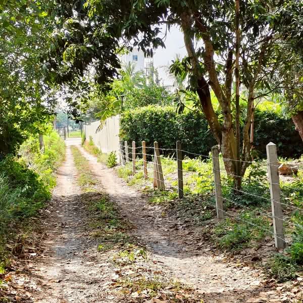 ขาย - ใกล้สนามกอล์ฟฟินิกซ์ - ห้วยใหญ่ ตำบลห้วยใหญ่ อำเภอบางละมุง จังหวัดชลบุรี, ชลบุรี