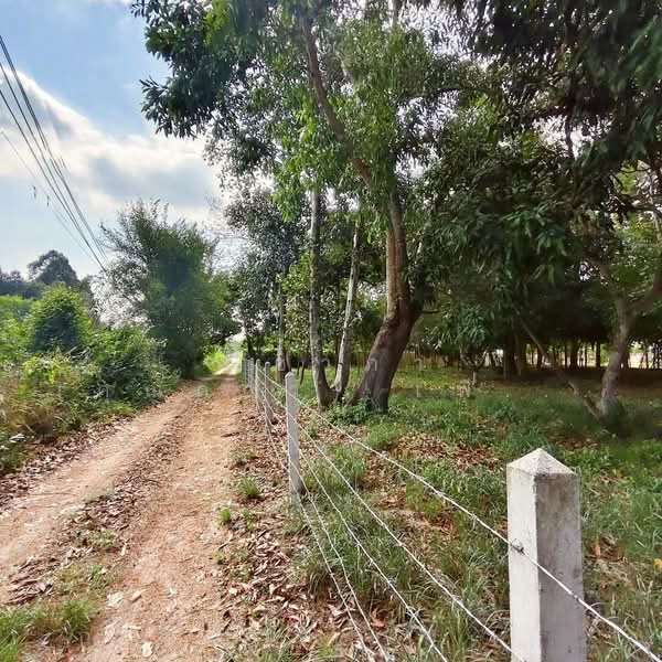 For Sale - ใกล้สนามกอล์ฟฟินิกซ์ - ห้วยใหญ่ ตำบลห้วยใหญ่ อำเภอบางละมุง จังหวัดชลบุรี, Chon Buri (Pattaya)