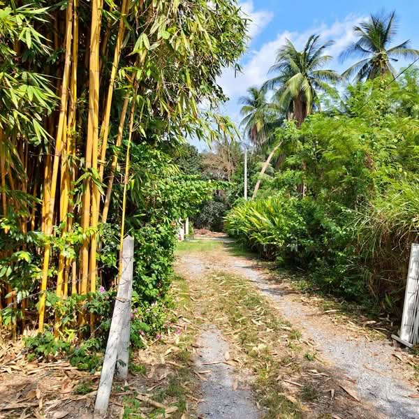 For Sale - ใกล้สนามกอล์ฟฟินิกซ์ - ห้วยใหญ่ ตำบลห้วยใหญ่ อำเภอบางละมุง จังหวัดชลบุรี, Chon Buri (Pattaya)