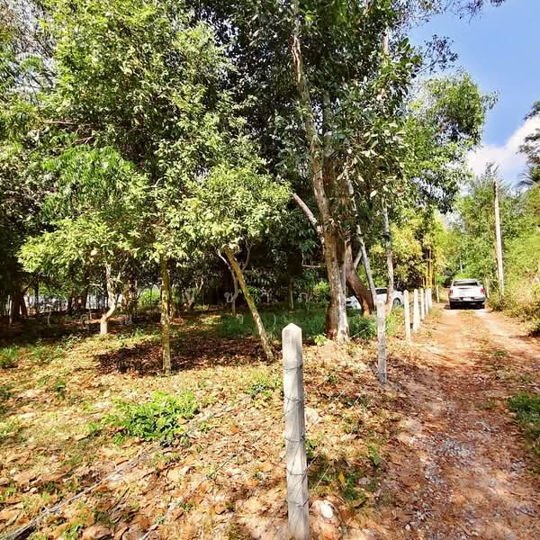 For Sale - ใกล้สนามกอล์ฟฟินิกซ์ - ห้วยใหญ่ ตำบลห้วยใหญ่ อำเภอบางละมุง จังหวัดชลบุรี, Chon Buri (Pattaya)