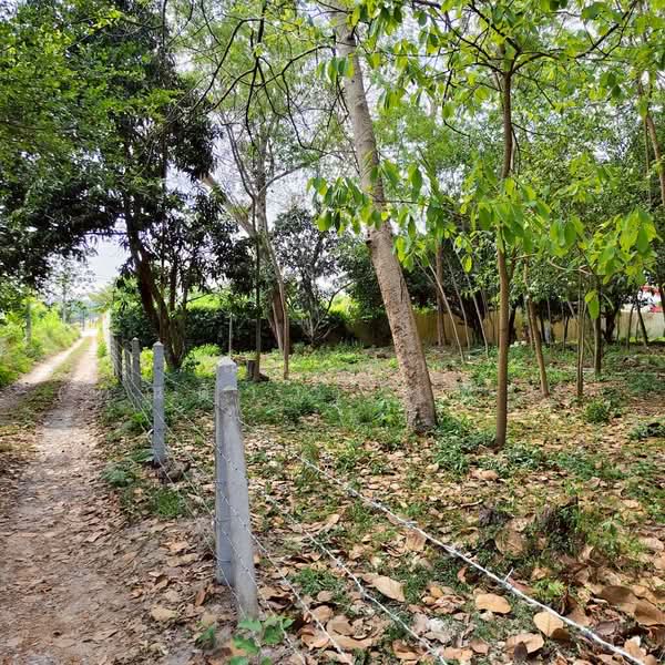 ใกล้สนามกอล์ฟฟินิกซ์ - ห้วยใหญ่ ตำบลห้วยใหญ่ อำเภอบางละมุง จังหวัดชลบุรี, Chon Buri (Pattaya), ซอยวัดมาบฟักทอง, Huai Yai, Bang Lamung (Pattaya), Chon Buri (Pattaya), , 2,540 sqm, Land For Sale, by Nichapa Phiachan, 500225729 - DDproperty.com