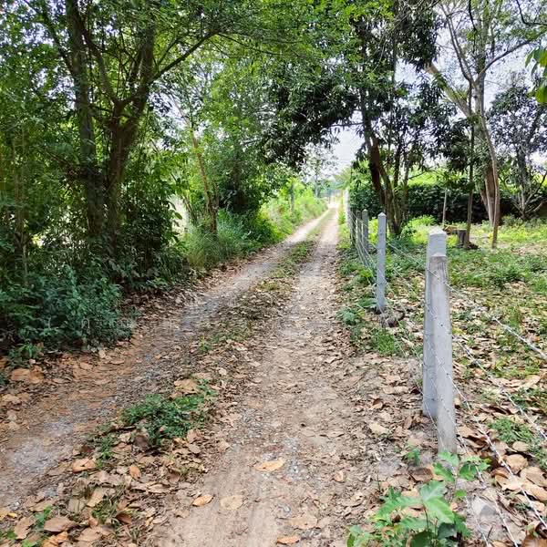 ใกล้สนามกอล์ฟฟินิกซ์ - ห้วยใหญ่ ตำบลห้วยใหญ่ อำเภอบางละมุง จังหวัดชลบุรี, Chon Buri (Pattaya), ซอยวัดมาบฟักทอง, Huai Yai, Bang Lamung (Pattaya), Chon Buri (Pattaya), , 2,540 sqm, Land For Sale, by Nichapa Phiachan, 500225729 - DDproperty.com