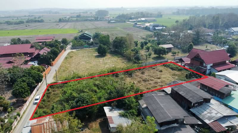 For Sale - ที่ดินแม่คำมี แพร่, Phrae
