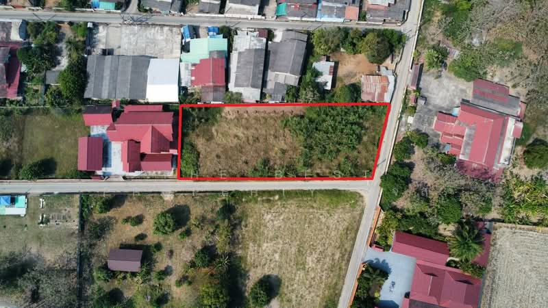 For Sale - ที่ดินแม่คำมี แพร่, Phrae