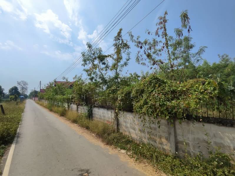 For Sale - ที่ดินแม่คำมี แพร่, Phrae