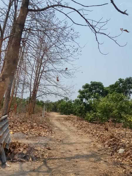 ที่ดินบ้านโฮ่ง ลำพูน, Lamphun, Lao Yao, Ban Hong, Lamphun, , 6,296 sqm, Land For Sale, by The Best Property นา, 500226237 - DDproperty.com