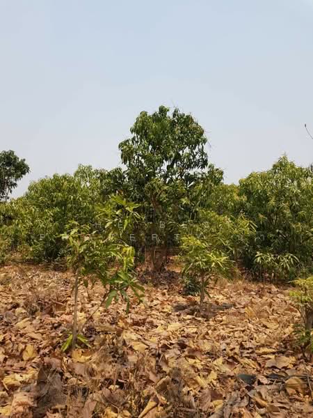 ที่ดินบ้านโฮ่ง ลำพูน, Lamphun, Lao Yao, Ban Hong, Lamphun, , 6,296 sqm, Land For Sale, by The Best Property นา, 500226237 - DDproperty.com