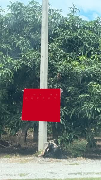 ที่ดินบ้านโฮ่ง ลำพูน, ลำพูน, เหล่ายาว, บ้านโฮ่ง, ลำพูน, 6,296 ตร.ม., ที่ดิน ขาย, โดย The Best Property นา, 500226237 - DDproperty.com