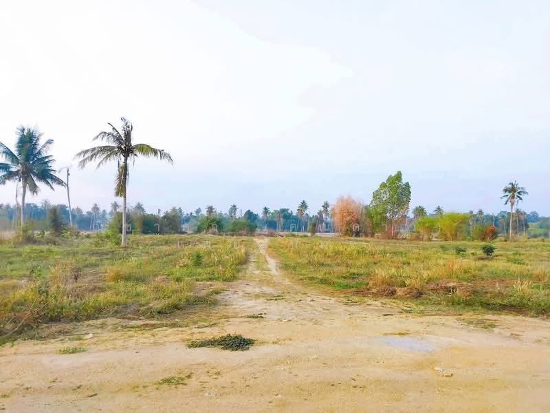 ซอยทุ่งกลม-ตาลหมัน ตำบลหวยใหญ่ อำเภอบางละมุง จังหวัดชลบุรี, ชลบุรี, ซอยทุ่งกลมตาลหมัน - ห้วยใหญ่, ห้วยใหญ่, บางละมุง, ชลบุรี, 8,812 ตร.ม., ที่ดิน ขาย, โดย ณิชาภา (คุณดาว) เพียจันทร์, 500226241 - DDproperty.com