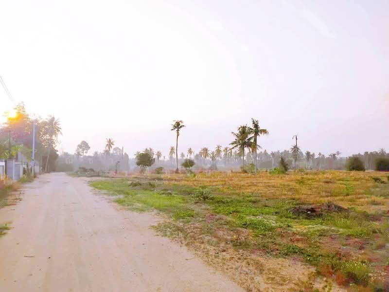 ซอยทุ่งกลม-ตาลหมัน ตำบลหวยใหญ่ อำเภอบางละมุง จังหวัดชลบุรี, ชลบุรี, ซอยทุ่งกลมตาลหมัน - ห้วยใหญ่, ห้วยใหญ่, บางละมุง, ชลบุรี, 8,812 ตร.ม., ที่ดิน ขาย, โดย ณิชาภา (คุณดาว) เพียจันทร์, 500226241 - DDproperty.com