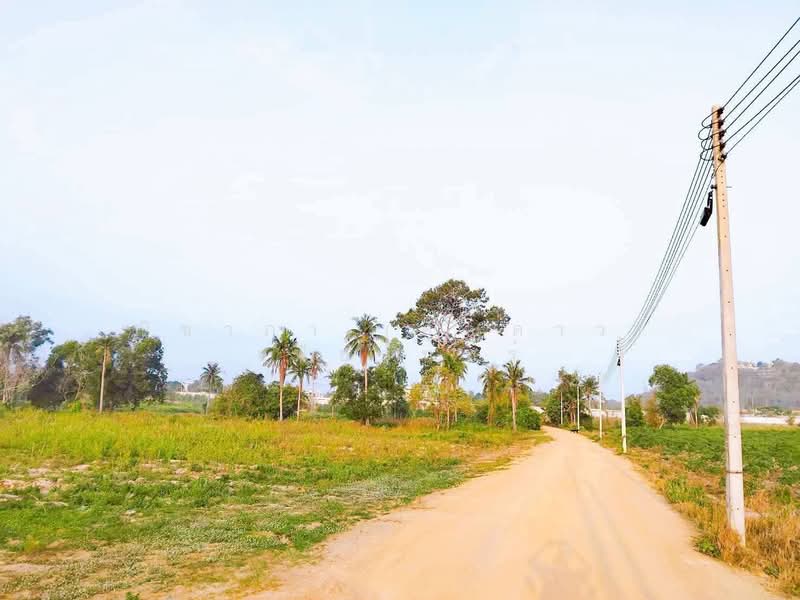 ซอยทุ่งกลม-ตาลหมัน ตำบลหวยใหญ่ อำเภอบางละมุง จังหวัดชลบุรี, ชลบุรี, ซอยทุ่งกลมตาลหมัน - ห้วยใหญ่, ห้วยใหญ่, บางละมุง, ชลบุรี, 8,812 ตร.ม., ที่ดิน ขาย, โดย ณิชาภา (คุณดาว) เพียจันทร์, 500226241 - DDproperty.com