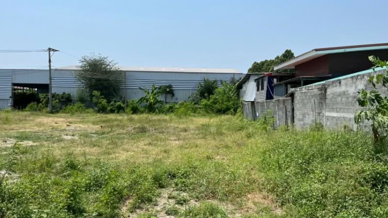 ที่ดินเปล่า ถมแล้ว 560 ตร.วา ซอยเทศบาลบางปู 11, สมุทรปราการ, สุขุมวิท, บางปูใหม่, เมืองสมุทรปราการ, สมุทรปราการ, 2,240 ตร.ม., ที่ดิน ขาย, โดย คุณ ชัยรัชต์ (กร), 500226253 - DDproperty.com