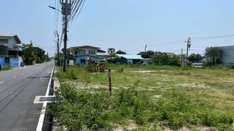 ที่ดินเปล่า ถมแล้ว 560 ตร.วา ซอยเทศบาลบางปู 11, Samut Prakan, สุขุมวิท, Bang Pu Mai, Muang Samut Prakarn, Samut Prakan, , 2,240 sqm, Land For Sale, by คุณ ชัยรัชต์ (กร), 500226253 - DDproperty.com