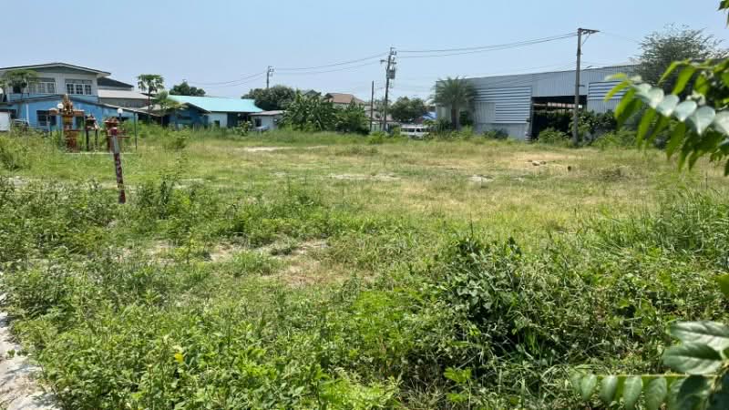 ที่ดินเปล่า ถมแล้ว 560 ตร.วา ซอยเทศบาลบางปู 11, Samut Prakan, สุขุมวิท, Bang Pu Mai, Muang Samut Prakarn, Samut Prakan, , 2,240 sqm, Land For Sale, by คุณ ชัยรัชต์ (กร), 500226253 - DDproperty.com