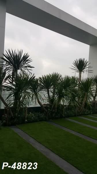 Life Sukhumvit 48, Bangkok, Soi Sukhumvit 48, Phra Kanong, Khlong Toei, Bangkok, 1 Bedroom, 39 sqm, Condo For Rent, by Susira Prueksawun, 500226309 - DDproperty.com