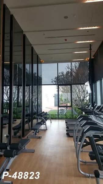 Life Sukhumvit 48 : ไลฟ์ สุขุมวิท 48, กรุงเทพ, ซอยสุขุมวิท 48, พระโขนง, คลองเตย, กรุงเทพ, 39 ตร.ม., คอนโด ให้เช่า, โดย Susira Prueksawun, 500226309 - DDproperty.com