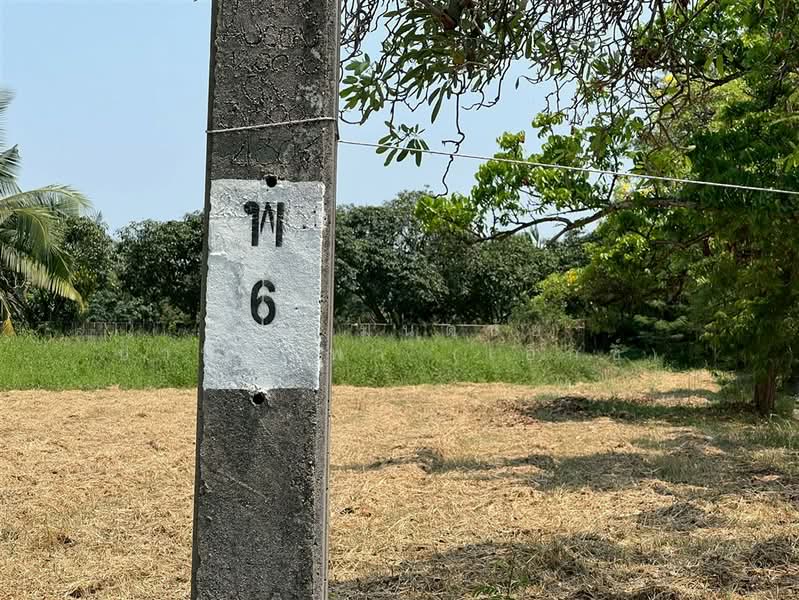 ที่ดินเปล่า 576 ตร.ว. ที่ดิน หมู่บ้านเลควูด ใกล้สนามบินสุวรรณภูมิ ซอยเลควูด26, สมุทรปราการ, ถนนบางนาตราด, บางโฉลง, บางพลี, สมุทรปราการ, 2,304 ตร.ม., ที่ดิน ขาย, โดย คุณ มนต์ชัย ปานนพพา (เอ็กซ์), 500226326 - DDproperty.com