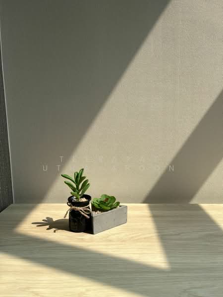 Rhythm Ekkamai : ริทึ่ม เอกมัย, กรุงเทพ, 11 ถนนสุขุมวิท 63, คลองเตยเหนือ, วัฒนา, กรุงเทพ, 30 ตร.ม., คอนโด ให้เช่า, โดย Teerapat Utha-aroon, 500226343 - DDproperty.com