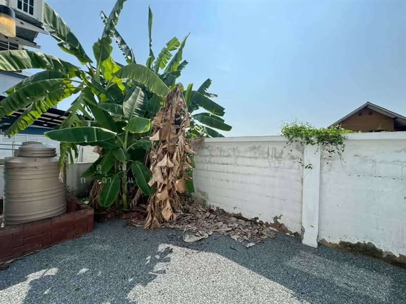 Suksamran Cottage Prachauthit 90, Samut Prakan, ซอยประชาอุทิศ 90 ต.บ้านคลองสวน อ.พระสมุทรเจดีย์ จ.สมุทรปราการ, Ban Khlong Suan, Phra Samut Jadee, Samut Prakan, 4 Bedrooms, 170 sqm, Single Detached House For Sale, by คุณ ชุติกาญจน์ กล่ำแสง (เชอรี่), 500226355 - DDproperty.com