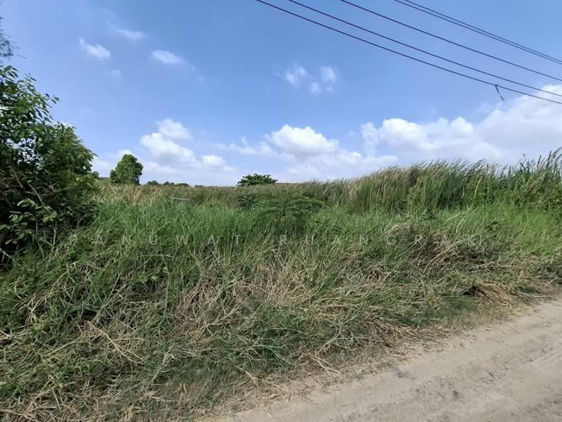 หมู่บ้าน ธารทอง 2 แยก 10, Nonthaburi, Bang Rak Pattana, Bang Bua Thong, Nonthaburi, , 480 sqm, Land For Sale, by Panuwat Ruangrak, 500226370 - DDproperty.com