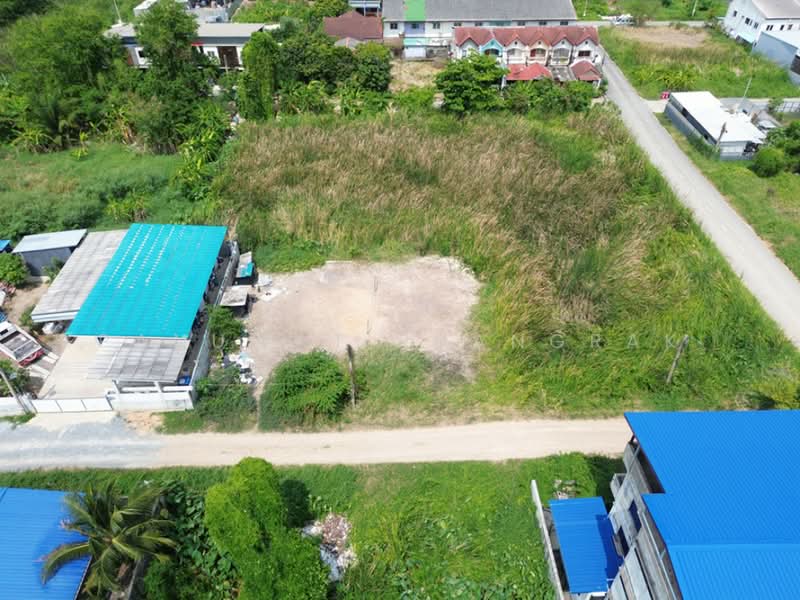 หมู่บ้าน ธารทอง 2 แยก 10, นนทบุรี, บางรักพัฒนา, บางบัวทอง, นนทบุรี, 480 ตร.ม., ที่ดิน ขาย, โดย Panuwat Ruangrak, 500226370 - DDproperty.com