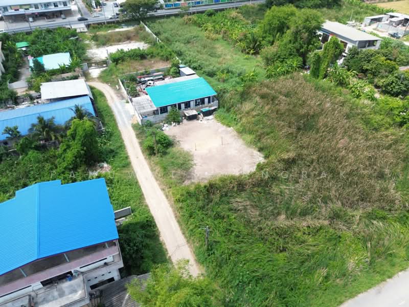 หมู่บ้าน ธารทอง 2 แยก 10, นนทบุรี, บางรักพัฒนา, บางบัวทอง, นนทบุรี, 480 ตร.ม., ที่ดิน ขาย, โดย Panuwat Ruangrak, 500226370 - DDproperty.com