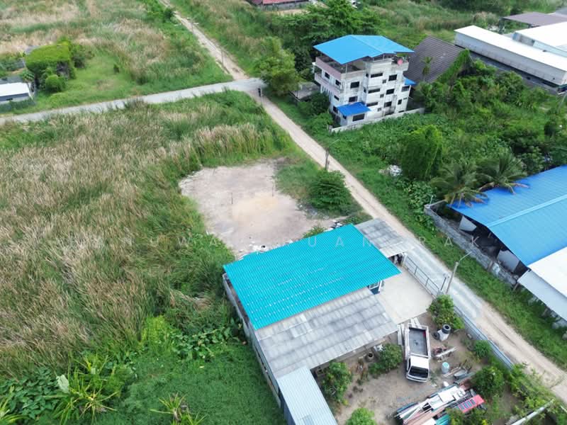 หมู่บ้าน ธารทอง 2 แยก 10, นนทบุรี, บางรักพัฒนา, บางบัวทอง, นนทบุรี, 480 ตร.ม., ที่ดิน ขาย, โดย Panuwat Ruangrak, 500226370 - DDproperty.com