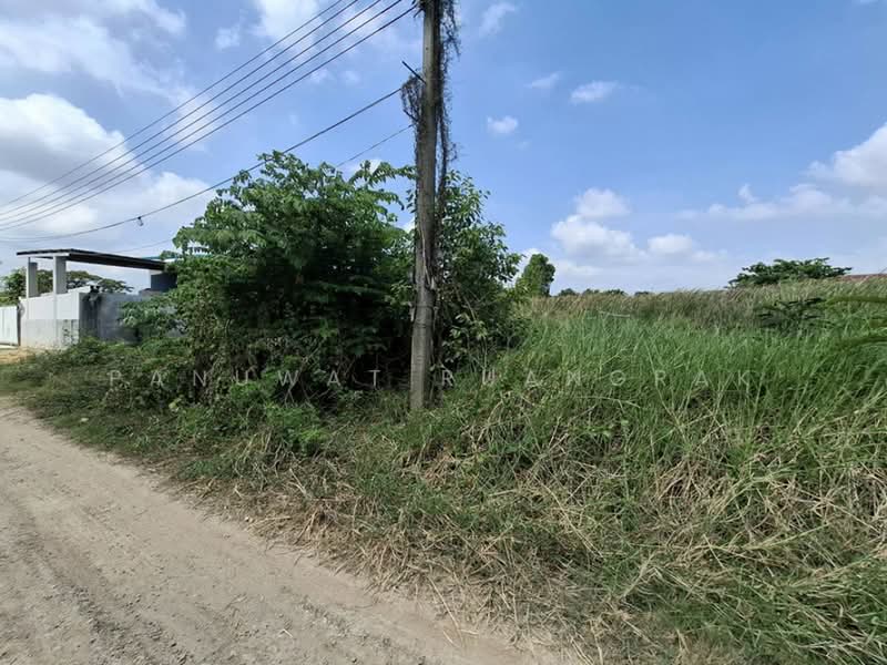 หมู่บ้าน ธารทอง 2 แยก 10, นนทบุรี, บางรักพัฒนา, บางบัวทอง, นนทบุรี, 480 ตร.ม., ที่ดิน ขาย, โดย Panuwat Ruangrak, 500226370 - DDproperty.com