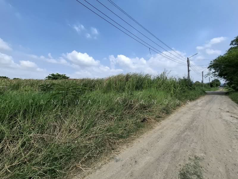 หมู่บ้าน ธารทอง 2 แยก 10, นนทบุรี, บางรักพัฒนา, บางบัวทอง, นนทบุรี, 480 ตร.ม., ที่ดิน ขาย, โดย Panuwat Ruangrak, 500226370 - DDproperty.com