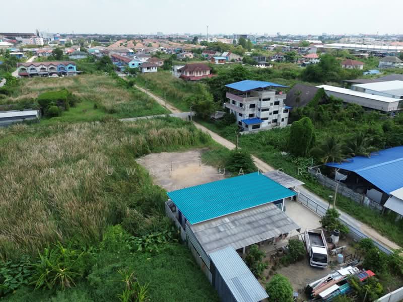 หมู่บ้าน ธารทอง 2 แยก 10, นนทบุรี, บางรักพัฒนา, บางบัวทอง, นนทบุรี, 480 ตร.ม., ที่ดิน ขาย, โดย Panuwat Ruangrak, 500226370 - DDproperty.com