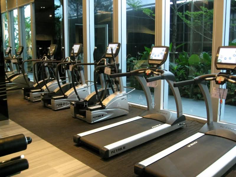 The Address Asoke : ดิ แอดเดรส อโศก, กรุงเทพ, 1655 ถนนเพชรบุรี แขวงมักกะสัน เขตราชเทวี กรุงเทพมหานคร, มักกะสัน, ราชเทวี, กรุงเทพ, 47 ตร.ม., คอนโด ให้เช่า, โดย Teerapat Utha-aroon, 500226433 - DDproperty.com