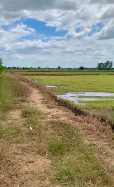 ขาย - ที่ดินพรหมบุรี สิงห์บุรี, สิงห์บุรี