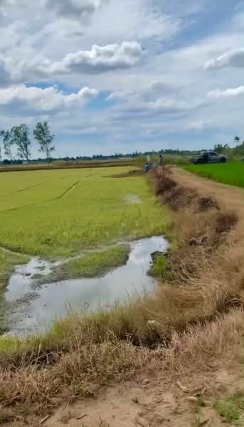 ขาย - ที่ดินพรหมบุรี สิงห์บุรี, สิงห์บุรี