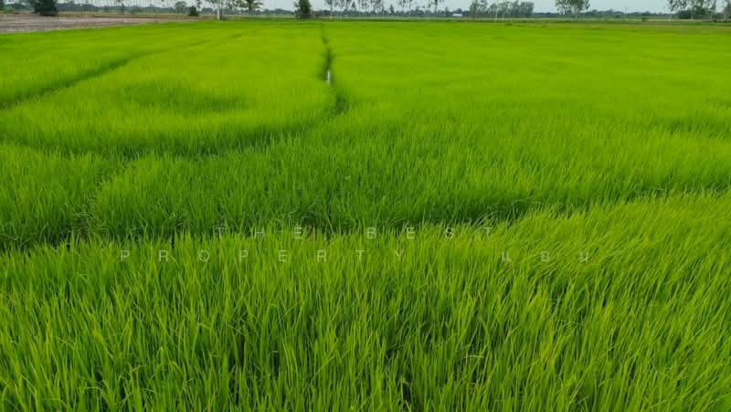 For Sale - ที่ดินพรหมบุรี สิงห์บุรี, Sing Buri
