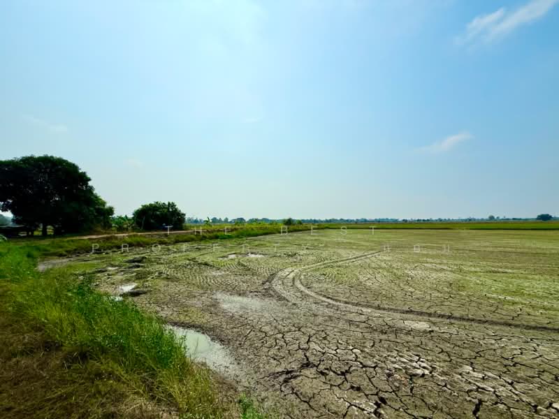 For Sale - ที่ดินพรหมบุรี สิงห์บุรี, Sing Buri